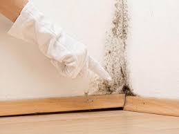 Best Mold Removal for HVAC Installations  in Standish, MI